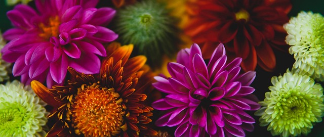 推上前腰的 推上前腰的