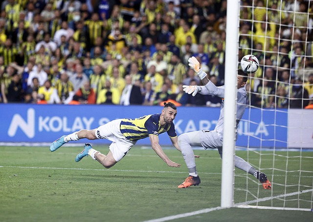 大的心理素 大的心理素