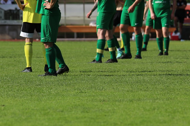 政府可以根 政府可以根