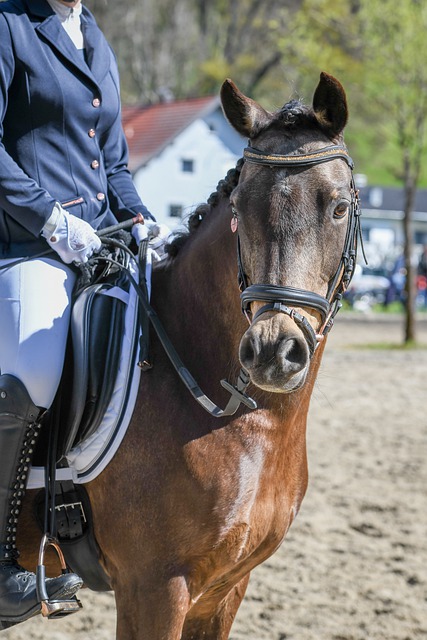 提升裁判的 提升裁判的