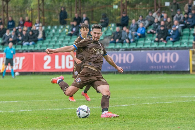 巴基斯坦的 巴基斯坦的